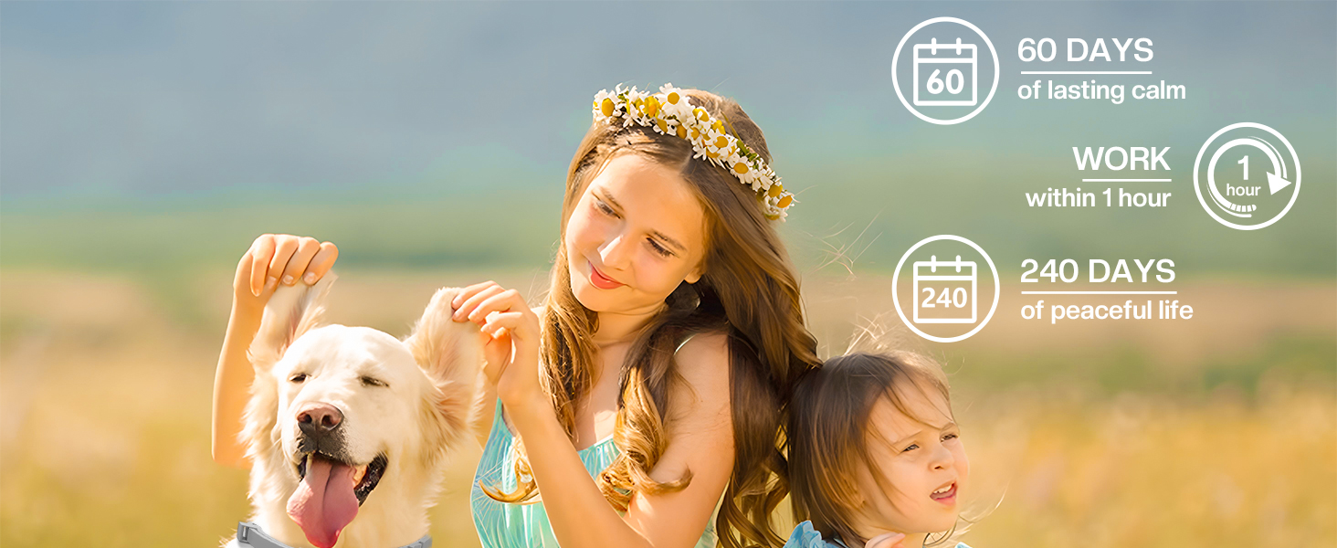 Tcllka Pet Calming Solutions