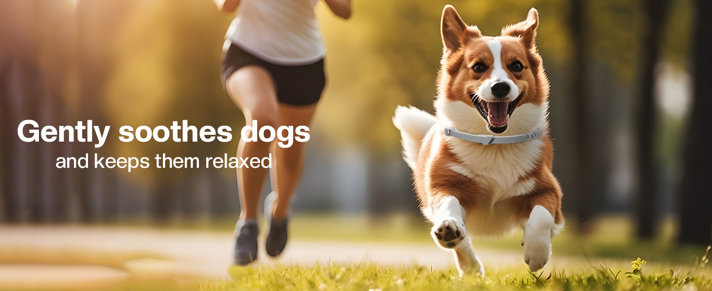 Premium Slider Image 7