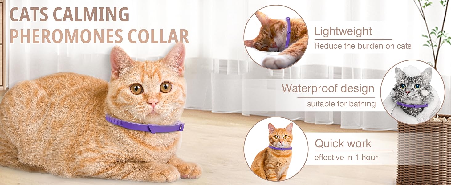 Premium Slider Image 3
